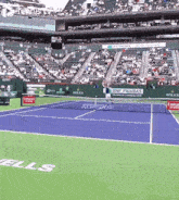 Daniil Medvedev Overhead Smash GIF - Daniil Medvedev Overhead Smash Tennis GIFs