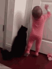 Door Opener Cat GIF - Door Opener Cat Cat Cute GIFs