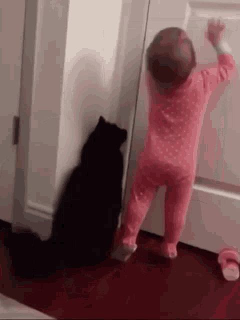 Door Opener Cat GIF Door Opener Cat Cat Cute Discover Share GIFs