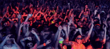 12. Having Those “oh My God I Need To Be Around People” Days… GIF - Crowd Party Rave GIFs