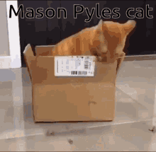 pyles mason