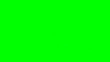 srpelo green screen cancelled