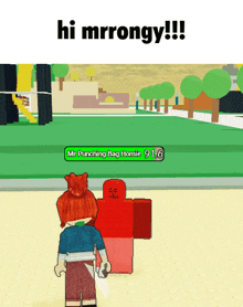 a screenshot of a video game with the words hi mrrongy on the top