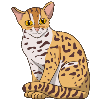 Wild Cat Leopard Cat Sticker - Wild Cat Leopard Cat Stickers