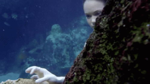 Mako Mermaids H2o GIF - Mako Mermaids H2o Mermaid - Discover & Share GIFs