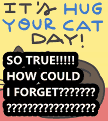 So True How Could I Forget Hug GIF - So True How Could I Forget Hug Hug Your Cat Day GIFs