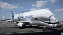 Airbus Beluga Airbus GIF - Airbus Beluga Airbus Beluga GIFs