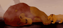 The Lion King Simba GIF - The Lion King Simba Mufasa GIFs