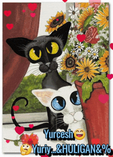a picture of a black cat and a white cat with the name yurtesh at the bottom