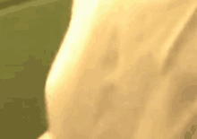 a close up of a person 's hand holding a piece of paper .