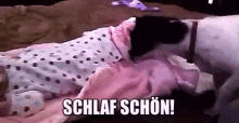 Hund Deckt Baby Zu GIF - Schlaf Schön Zudecken Gute Nacht GIFs