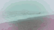Seal Whale GIF - Seal Whale Valentines Day GIFs