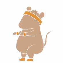 work out rat cute exercise fitness