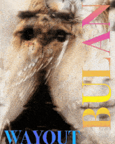 a poster with a picture of an owl and the word wayout