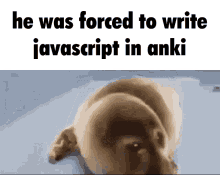Anki Javascript GIF - Anki Javascript Script GIFs