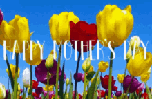 Happy Mothers Day Flowers GIF - Happy Mothers Day Flowers Windy GIFs