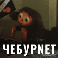 a close up of a stuffed animal with the word cheburnet on the bottom right