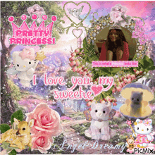 a picture of a girl with the words pretty princess written on it