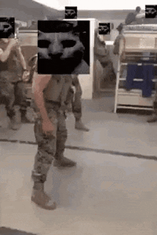 Drop Kick Cat GIF - Drop Kick Cat Military GIFs