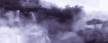 Panther Fog GIF - Panther Fog Forest GIFs
