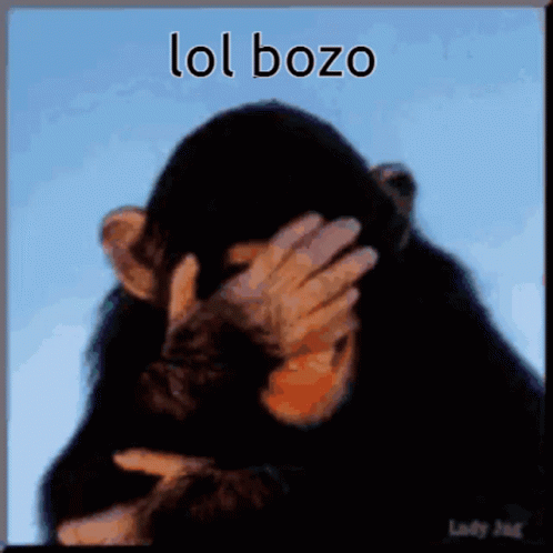 Lol Bozo Bozo GIF - Lol Bozo Bozo Monkey - Discover & Share GIFs