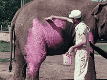 Art Elephant GIF