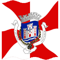 a red and white flag with a coat of arms that says cidade