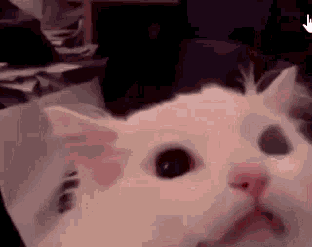Mitsuri's sad cat dance - Kimetsu no Yaiba animation on Make a GIF