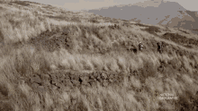 Hiking National Geographic GIF - Hiking National Geographic Uncovering Ancient Incan History GIFs