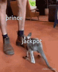 Jackpot Prince GIF - Jackpot Prince Funny GIFs