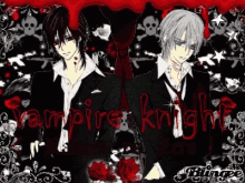 Anime Vampire GIF - Anime Vampire Knight GIFs