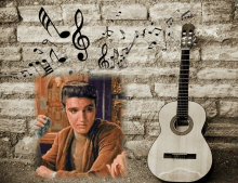 Elvis Gitarre GIF - Elvis Gitarre GIFs