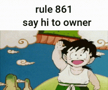 Rule 861 Dragonball Rules GIF - Rule 861 Dragonball Rules GIFs