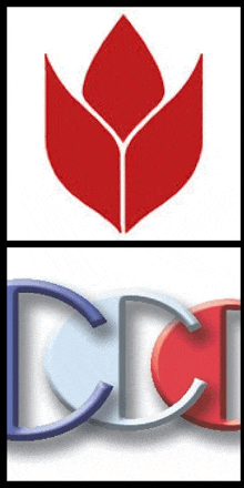 a red flower and a blue and red circle with the letter c on it