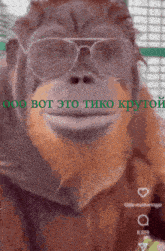 a close up of a monkey wearing sunglasses with the words " ooo bot это tiko кругой " in green