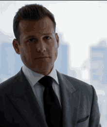 Suits Harvey GIF - Suits Harvey Harvey Specter GIFs
