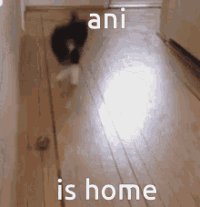 Ani Is Home Ani Came Home GIF - Ani Is Home Ani Came Home Ani GIFs