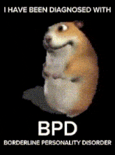 a picture of a hamster with the words i have been diagnosed with bpd borderline personality disorder below it