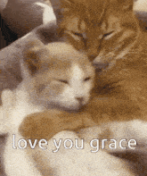 Grace Love You GIF - Grace Love You Kitty GIFs