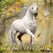 horse blessed day
