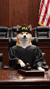a dog in a judge 's robe is wearing a hat that says dea