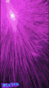 a purple background with the name pietro in blue letters