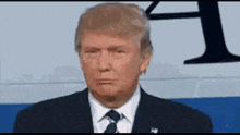 Trump Nun Dicere Strunzat GIF - Trump Nun Dicere Strunzat Non Dire Stronzate GIFs