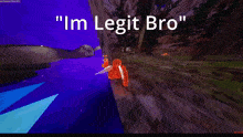 a computer screen says " i 'm legit bro "