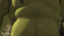 Shreks Ass Shreksass GIF