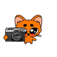 a cartoon cat is holding a camera that says ' n80 ' on it