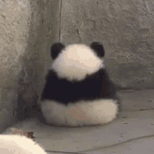 Jimin Panda GIF - Jimin Panda Fruitbatkoo GIFs