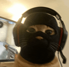 a cat wearing headphones and a mask looks at the camera