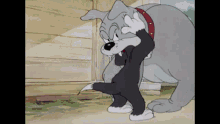 Tom And Jerry Aggressive GIF - Tom And Jerry Aggressive Aggression GIFs