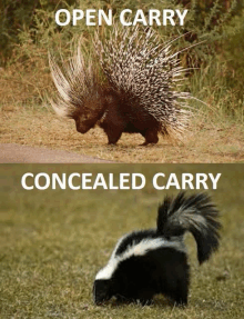 Open Carry Concealed Carry GIF